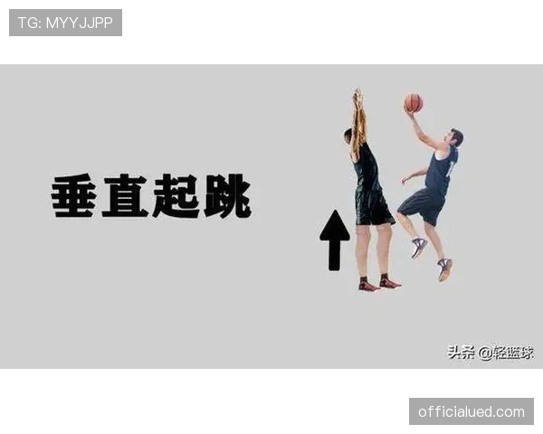 解读合理冲撞区规则：防守犯规与进攻犯规的界定